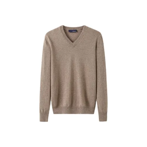 LARDINI Кофе Мужские Свитера