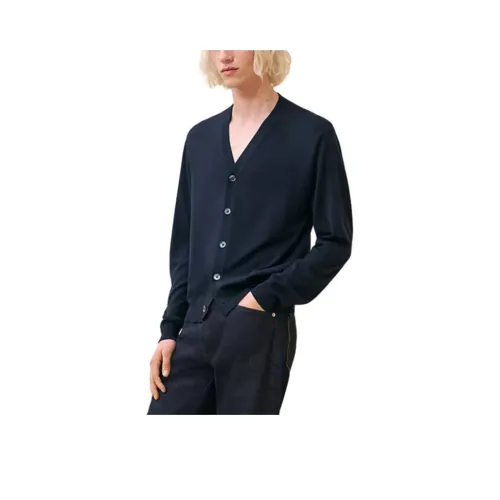 HERMES Синие Мужские Свитера