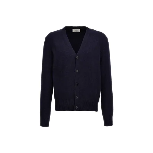 amiparis Синий Мужской Свитера