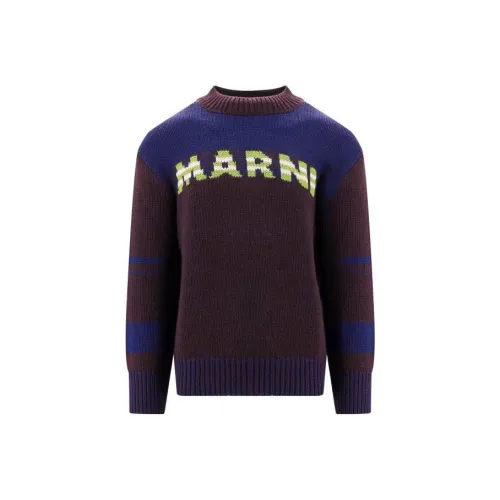MARNI Коричневый Мужской Свитеры