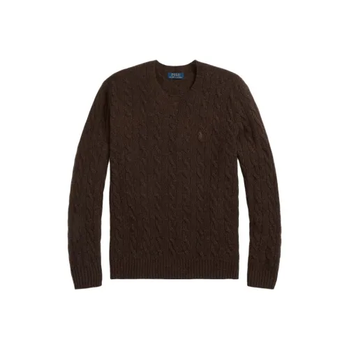 Polo Ralph Lauren Свитер Мужской Коричневый