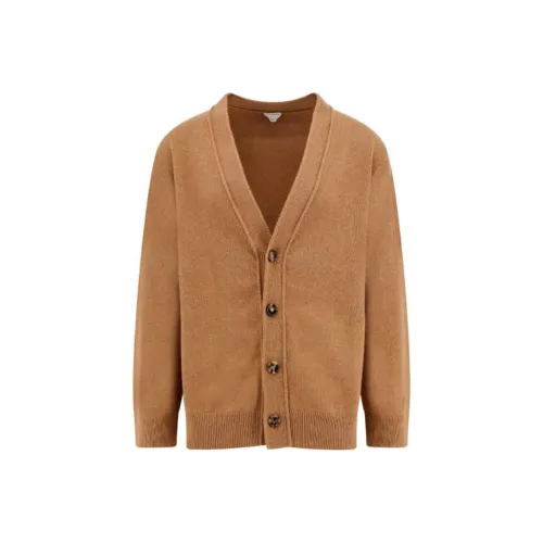 Bottega Veneta Кашемир Свитер Мужской Коричневый