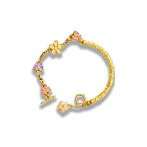 Датан Годин Сплав Браслеты Женские