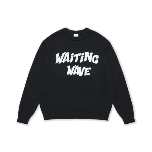 WAITINGWAVE Унисекс Свитеры