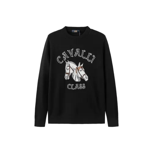 Cavalli Class Кашемировый свитер мужской