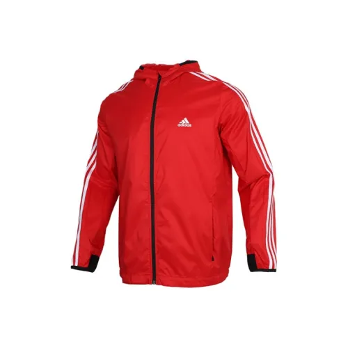 Adidas Red Men's Jackets Adidas Красный Мужские Куртки
