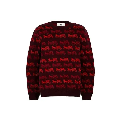 COACH Умбра Красный Мужские Свитера