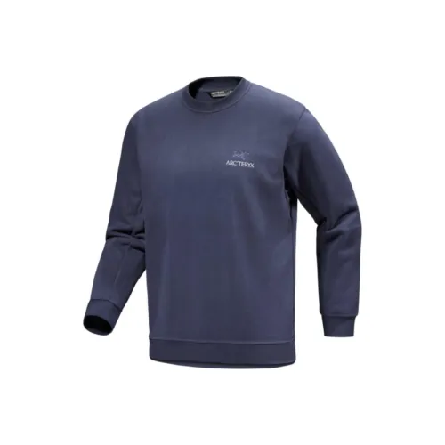 Arcteryx Emblem Толстовка Мужская