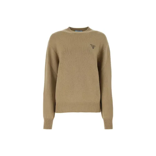 PRADA Коричневые Мужские Свитера