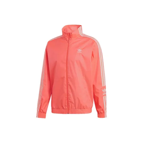 Adidas Originals Блестящий Красный Мужская Куртка