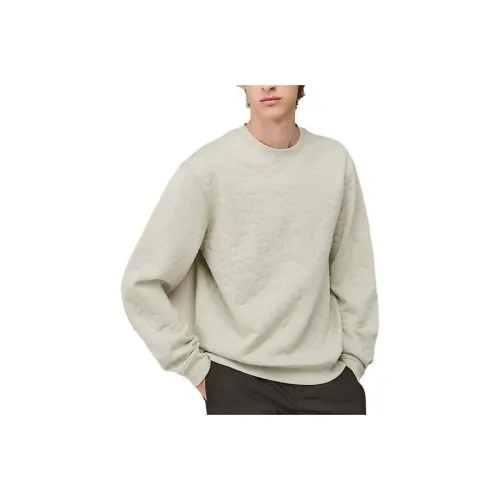 HERMES Лесной мшистый Мужские Свитера