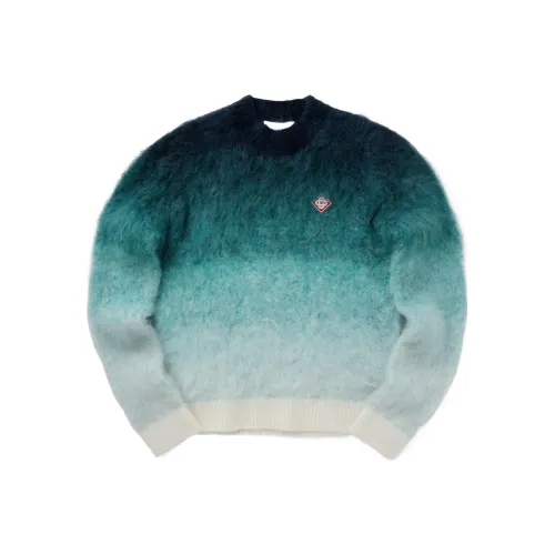 CASABLANCA Синий Мужской Свитеры