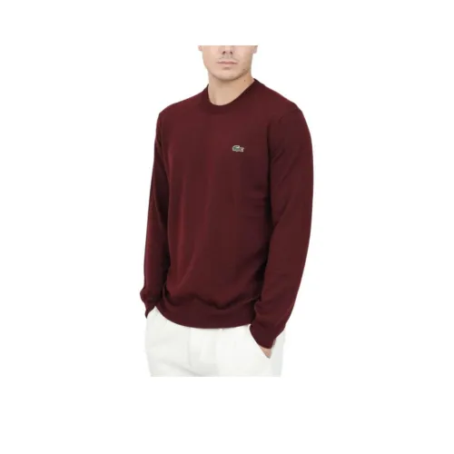 Свитеры для мужчин LACOSTE Collaboration Burgundy