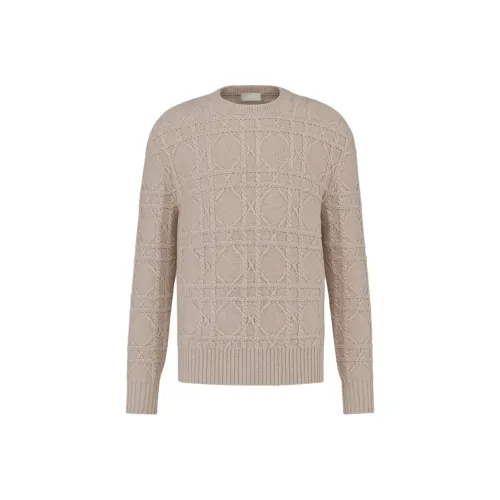 DIOR Icon FW24 Кашемировый свитер мужской бежевый