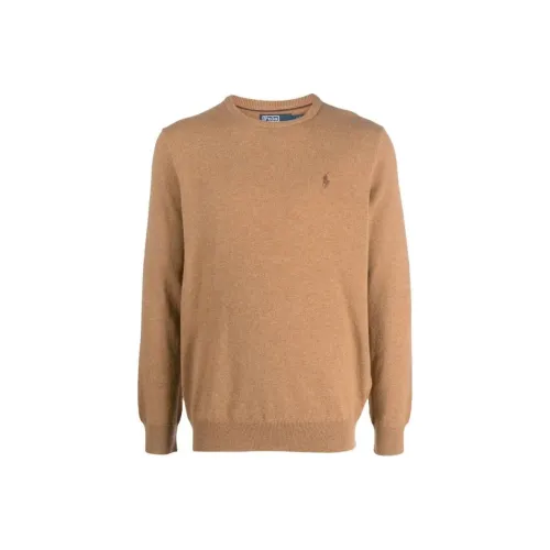 Polo Ralph Lauren Свитер Мужской Коричневый