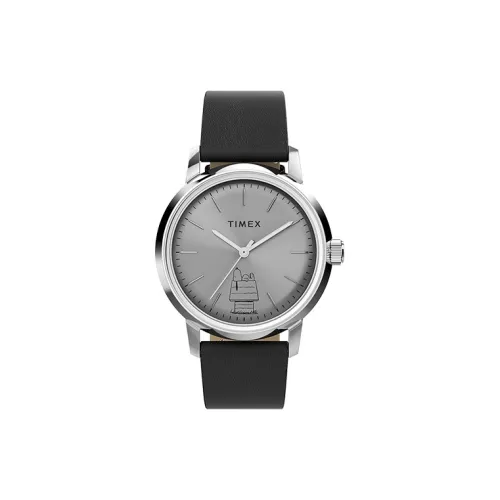 TIMEX Автоматический Механический Механизм Мужские Часы 40 мм Серебряный