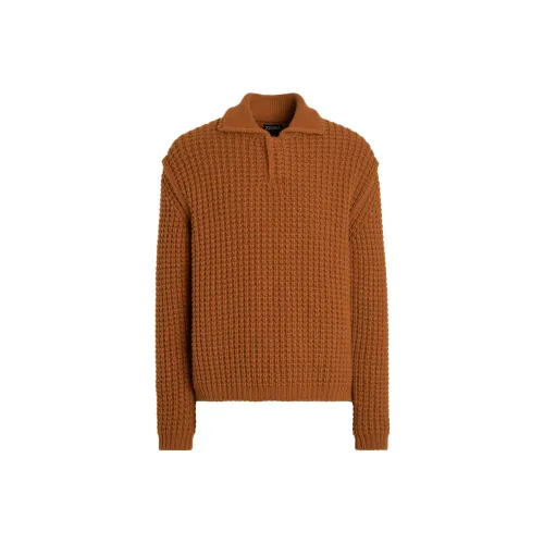 Ermenegildo Zegna Коричневые Мужские Свитера