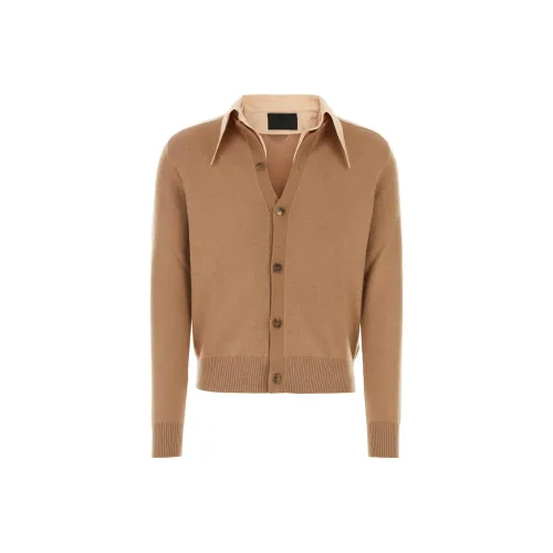 PRADA Коричневые Мужские Свитера