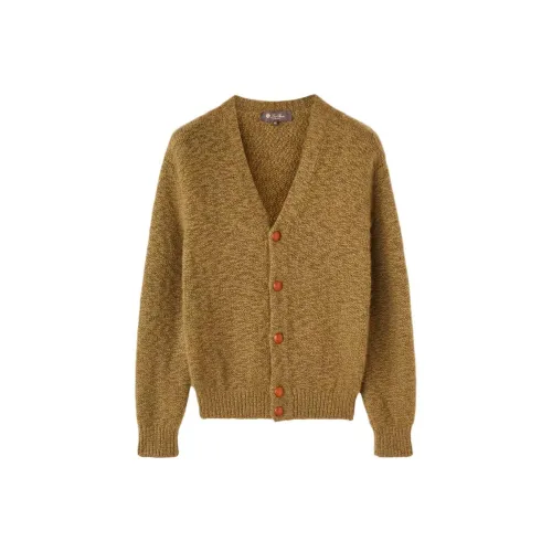 Loro Piana Грязь Зеленый Мужской Кашемировые Свитера