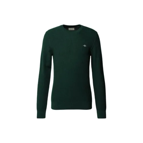 GANT Зеленые Мужские Свитера