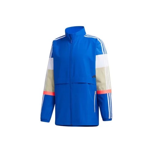 Adidas Спортивный ретро стиль Многоцветные полосы Воротник-стойка Куртка Мужская Королевский синий