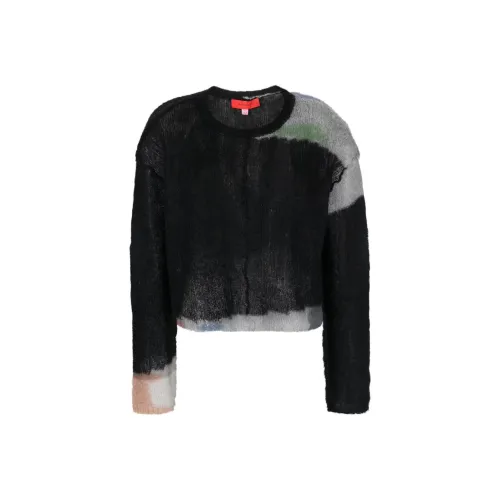 ECKHAUS LATTA Черный Унисекс Свитеры