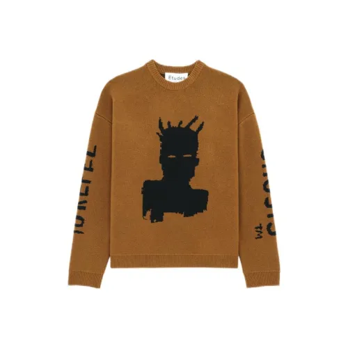 Études Коричневый Мужской Свитеры