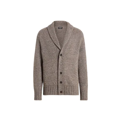 Ermenegildo Zegna Тауповый Мужской Кашемировые Свитера