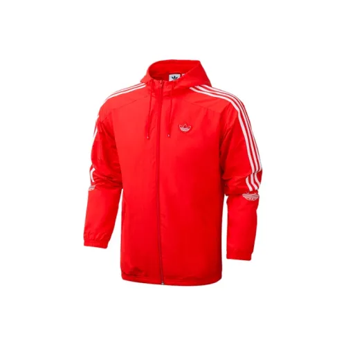 Adidas Red Men's Jackets Adidas Красный Мужские Куртки