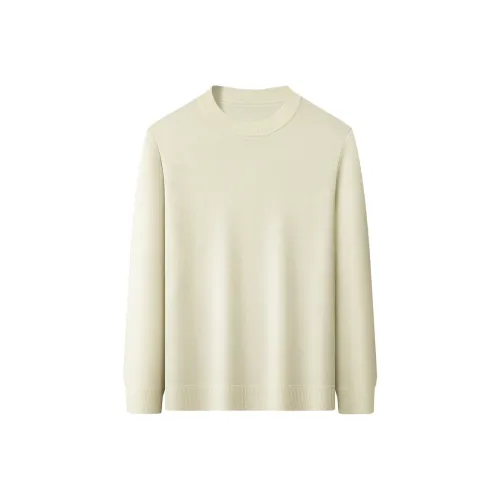 FORTEI Мужские кашемировые свитеры