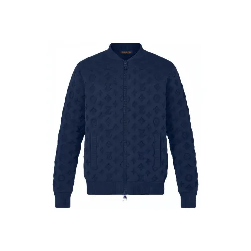 LOUIS VUITTON Куртка Мужская Синяя