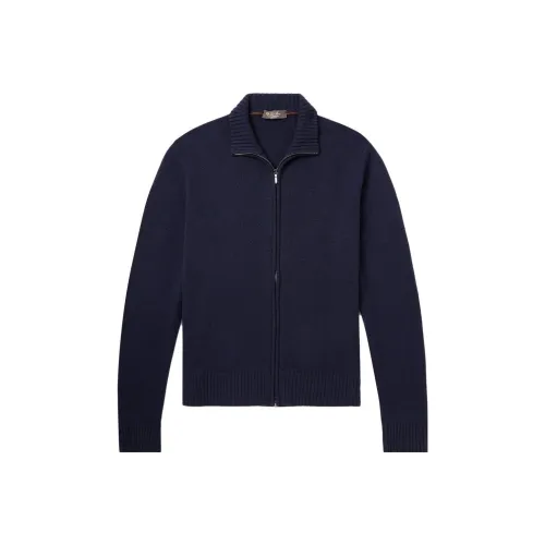 Loro Piana Синий Мужской Трикотаж