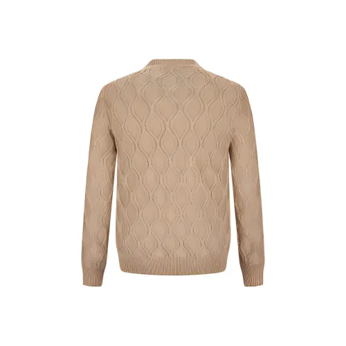 LARDINI Хаки Мужские Свитера
