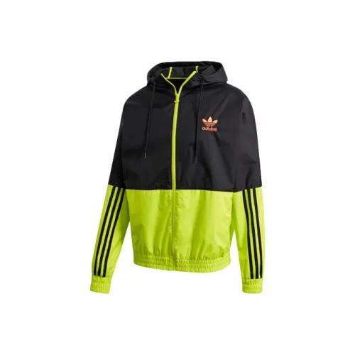 Adidas Originals Ветровки и Пальто Мужские Желтые