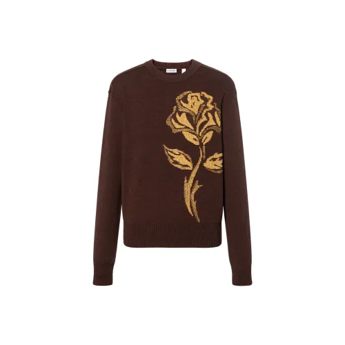 Burberry Шоколад Мужские Свитера