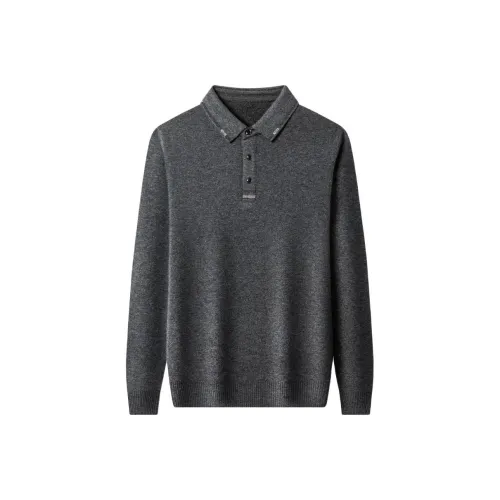 PIERRE CARDIN Мужские Свитера