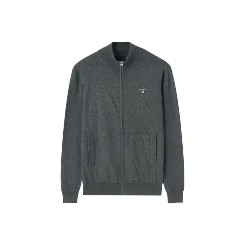 GANT Темно-серый Мужские Свитера