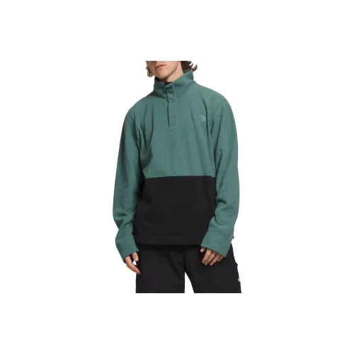 The North Face Deep Шалфейно-зеленый Мужские Свитера