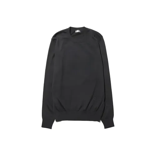 DIOR Черные Мужские Свитера