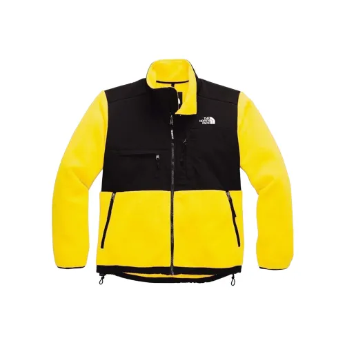 THE NORTH FACE 1995 Collection Флис Одежда Мужской Лимон
