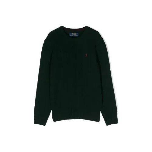 Ralph Lauren Зеленые Мужские Свитера
