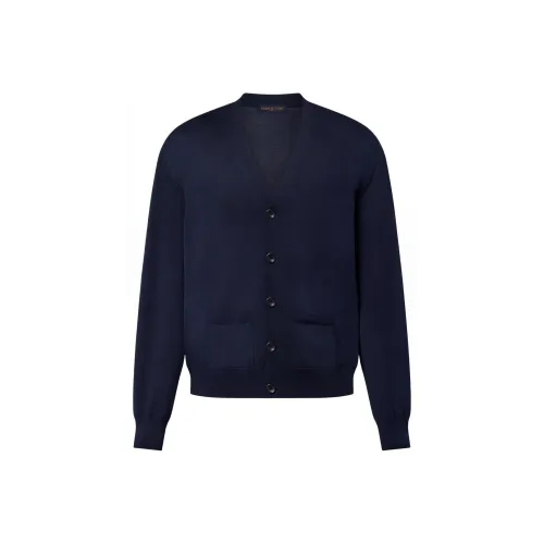 LOUIS VUITTON FW24 Кашемировый свитер мужской синий