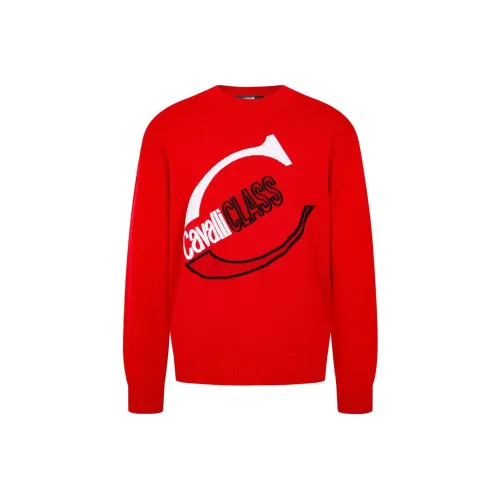 Cavalli Class Кашемир Свитер Мужской