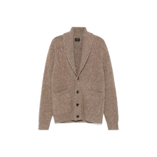 Brioni Умбра Мужские кашемировые свитеры