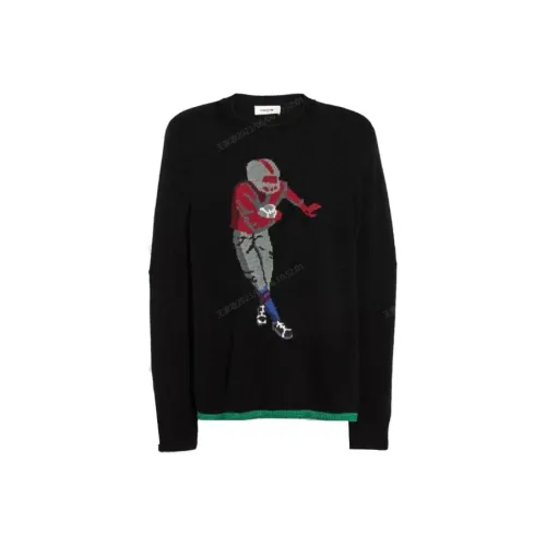 COACH Мужские черные свитеры