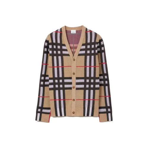 Burberry Бежевые Мужские Свитера