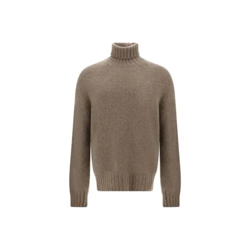 Ermenegildo Zegna Коричневые Мужские Свитера