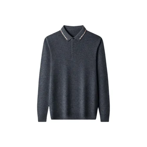 PIERRE CARDIN Мужские Свитера