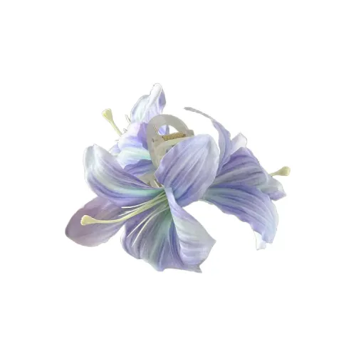 SFER Заколки для волос Женские