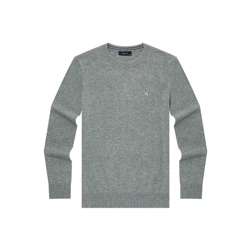 HAZZYS Мужские Свитера